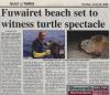 turtle-news_thumb.jpg 3.3K